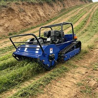 Tondeuse à fléaux sans fil autopropulsée à commande à distance, largeur de coupe 800 mm (31,5 po), moteur 4 temps, pour terrains vagues, bordures de routes et vergers