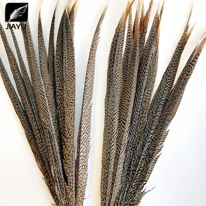 Piume di coda di fagiano anello (Ringneck) naturali all'ingrosso, lunghezza 10-80 cm (4-32 pollici), per decorazioni fai da te - Product Image 4