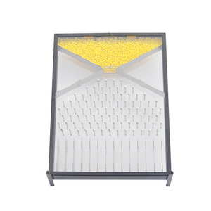 Physique Dalton <span class=keywords><strong>Board</strong></span> <span class=keywords><strong>Galton</strong></span> <span class=keywords><strong>Board</strong></span> School Physique Enseignement SIDA Instruments d'enseignement professionnels Équipement de laboratoire - Product Image 5