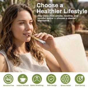 Metal Stainless Steel Pocket Inhaler Vaporless Anxiety Relief Women Nicotine-Free Deep Breathing - Product Image 4