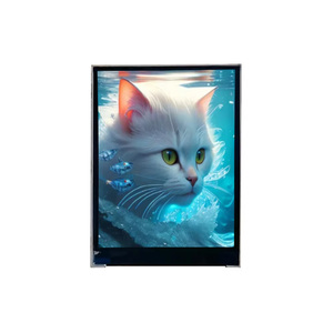 Módulo LCD TFT IPS <span class=keywords><strong>de</strong></span> 2.0 <span class=keywords><strong>Pulgadas</strong></span>, 240x320, 1000cd/m2 <span class=keywords><strong>de</strong></span> Alto Brillo, <span class=keywords><strong>Pantalla</strong></span> Pequeña <span class=keywords><strong>de</strong></span> 2 <span class=keywords><strong>Pulgadas</strong></span>, Interfaz SPI, Legible Bajo la Luz Solar, para Exteriores - Product Image 1
