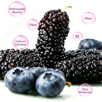Diverse Assortimenten Bessensap Tetra 6-pack Reisset Snacks Gym Kantoor Blauwe Bes Druif Vlierbes Nectar Fruitdrank
