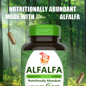 Suplemento para el Cuidado de la Salud, Cápsulas de Alfalfa para el Bienestar General, Aumenta la Energía, Cápsulas de Alfalfa Herbales Naturales - Product Image 5