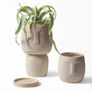 素食陶壶可以diy手绘创意透气壶多汁植物特殊间隙透气壶简单。