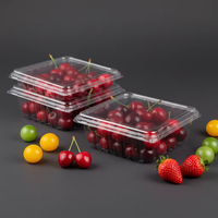 Boîte à fruits en plastique PET recyclable sur mesure, à charnière, pour myrtilles et cerises, 125-500g, emballage en blister, boîte à clapet