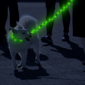 Guinzaglio per Cani LED Luminoso Personalizzato di Lusso in Nylon con Motivo Solido Ricaricabile con Impugnatura Imbottita Resistente - Product Image 2
