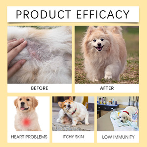 Gélules d'huile de poisson Oméga 3 pour chiens et chats – Soin de la peau, du pelage, du cœur et de la vision – Multivitamines en vrac – Gélules d'huile de poisson Oméga 3 pour chiens et chats - Product Image 5