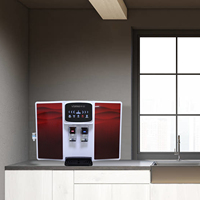 Système de filtration d'eau par osmose inverse à la maison commerciale Machine d'ioniseur d'eau RO électrique pour les hôtels domestiques Conception sans réservoir