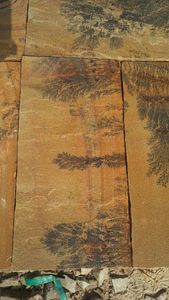 Grand grès fou de menthe fossile décoratif en pierre de roche d'aménagement paysager léger décoratif extérieur/intérieur - Product Image 3