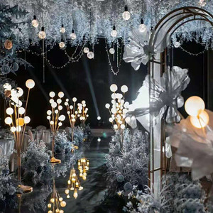 Fairy Lights Wedding Decoration <strong>Event</strong> <strong>Lighting</strong> Outdoor Wedding Decoration - Product Image 4