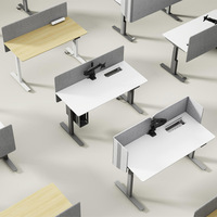Bureau d'ordinateur électrique à hauteur réglable, conçu de manière ergonomique, avec hauteur électrique ajustable, personnalisable