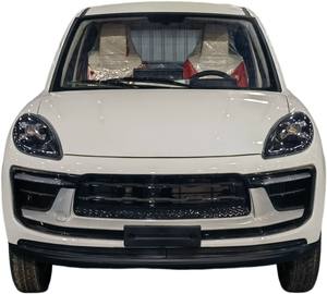 Mini Auto Eléctrico de Cuatro Ruedas para Adultos, Fabricante Chino, Motor de 3500W, Velocidad de 45-50km/h, Autonomía de 101-200km - Product Image 6