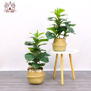 Arbre artificiel Ficus lyrata Dream Castle, 100cm-200cm, résistant aux UV, plante décorative d'intérieur en pot, verdure - Product Image 3
