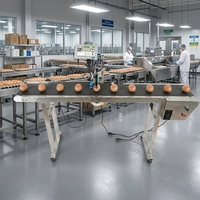 2026 TIJ Codeermachine 12,7 mm/25,4 mm Handheld Inkjetprinter CE-gekeurd 1 jaar draagbaar, food grade, voor houdbaarheidsdatum/batchcodering