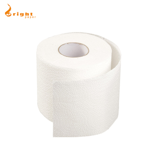 Papier de toilette Ultra transparent, doux, tactile, personnalisé, 10 rouleaux, famille Mega - Product Image 6