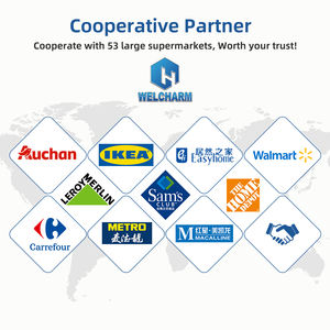 लिविंग रूम होटल फर्नीचर के लिए आधुनिक भारी-शुल्क धातु सोफे पैर पैर हैं - Product Image 5