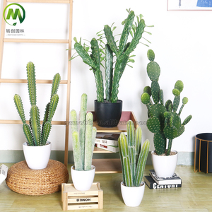 Plantas Artificiales, Cactus Bonsái, Decoración, Plantas Suculentas, Cactus en Oferta, Planta Artificial con Maceta para Hogar y Oficina - Product Image 3