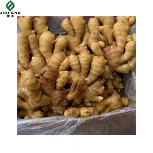 Gừng giá tại Trung Quốc Kích thước 150 g-giá bán buôn Trung Quốc trang trại phát triển cây trồng mới gừng tươi - Product Image 6