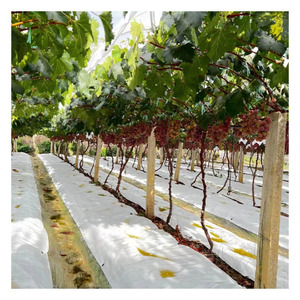 Toile de paillage WON 110GSM, tissu géotextile tissé anti-mauvaises herbes, barrière de contrôle des mauvaises herbes, tapis anti-mauvaises herbes blanc, Shandong - Product Image 5