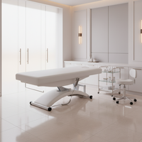 Weiße Moderne Luxuriöse Multifunktionale Kosmetikliege mit 1 Elektromotor für Gesichtsbehandlungen, Wimpern und Massage