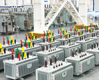 Transformateur de puissance immergé dans l'huile triphasé SinoShine 80 kVA, MV&HV, à noyau en acier au silicium, modèle S13-M, fréquence 50 Hz pour applications électroniques