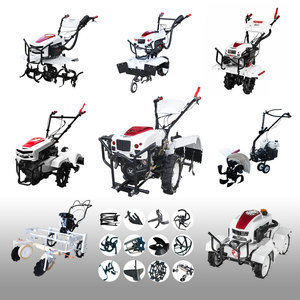 Mini cultivador y cultivador rotativo a gasolina de 4.5kW para uso doméstico de Dragon Horse con ancho de labranza de 650mm y componentes de engranaje central - Product Image 6