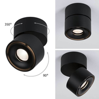 Projecteur à rail réglable grille ronde 12w Surface down light plafonnier réglable down light