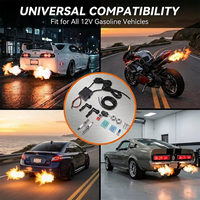 Kit lance-flammes universel Tianwang 12V pour voiture et moto avec sortie 18kV, contrôleur d'allumage 18W