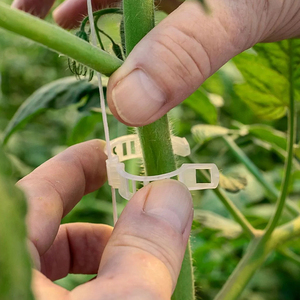 Clips de support pour tomates de jardin de 23 mm, clips de treillis pour tomates, clips de support pour plantes, clips en plastique pour vignes de jardin - Product Image 2