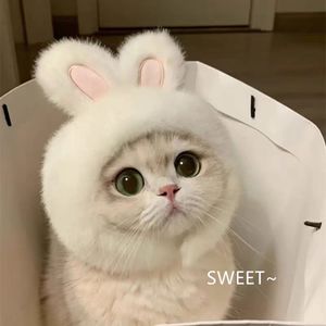 หมวกตุ๊กตาสัตว์เลี้ยง, หมวกสามตา, หมวกปลาดาวและปลากะพง, หมวกรูปหมู, ลูกไก่, แมว และหมี - Product Image 3