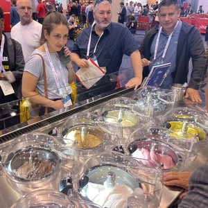 Machine de fabrication de crème glacée multifonctionnelle Miles 8 Flavors approuvée par la NSF avec anti-buée, idéale pour les fruits et le sirop de crème glacée - Product Image 1