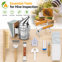 Kit d'outils d'apiculture de qualité supérieure, 10 pièces, en acier inoxydable, pour apiculteur professionnel, utilisation en ferme