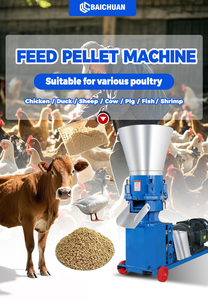 Nueva Máquina Eficiente para Producción <span class=keywords><strong>de</strong></span> Pienso en Pellets para Cría <span class=keywords><strong>de</strong></span> Aves y Ganado, Máquina <span class=keywords><strong>de</strong></span> Pellets <span class=keywords><strong>de</strong></span> Colza - Product Image 2