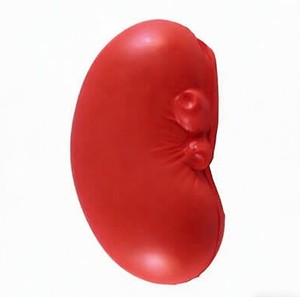 Ballons anti-stress personnalisés en mousse PU en forme de rein avec impression de logo – Anti-stress portables unisexes pour cadeaux promotionnels de marque - Product Image 3