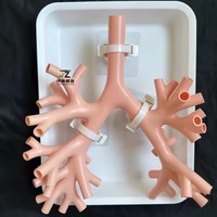 Modelo de Entrenamiento para Broncoscopia Oral, Modelo de Práctica para Broncoscopio