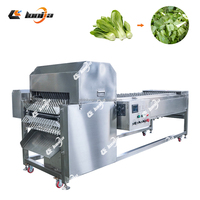 Hete Aanbieding Industriële Semi-automatische SUS304 RVS Groente Snij- en Ontwateringsmachine voor Komkommer Salade Verwerking