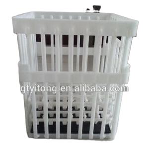 Cesta <span class=keywords><strong>de</strong></span> <span class=keywords><strong>huevos</strong></span> <span class=keywords><strong>de</strong></span> PP <span class=keywords><strong>de</strong></span> 330x325x400mm con agujeros, jaula para pollos, caja <span class=keywords><strong>de</strong></span> transporte <span class=keywords><strong>de</strong></span> <span class=keywords><strong>huevos</strong></span>, portador <span class=keywords><strong>de</strong></span> entrega <span class=keywords><strong>de</strong></span> pollitos, incubadora <span class=keywords><strong>de</strong></span> pollos para incubar - Product Image 4