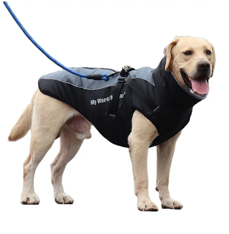 Sıcak satış en İyi kalite işık yansıtıcı sonbahar kış ısınma rüzgarlık büyük köpek için sportif Pet giyim aksesuarları
