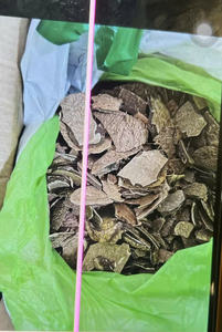 Coquille de noix de coco du Vietnam pour le charbon de bois Coquille de noix de coco activée - Product Image 4