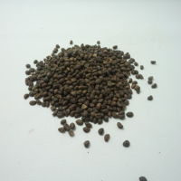 Graines de Botani Kirani d'Indonésie 100% Noires pour la Culture Agricole 1kg
