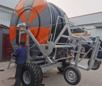 Machine d'arrosage d'irrigation de bobine de tuyau d'eau de voyage avec le pistolet de pluie dans le système agricole