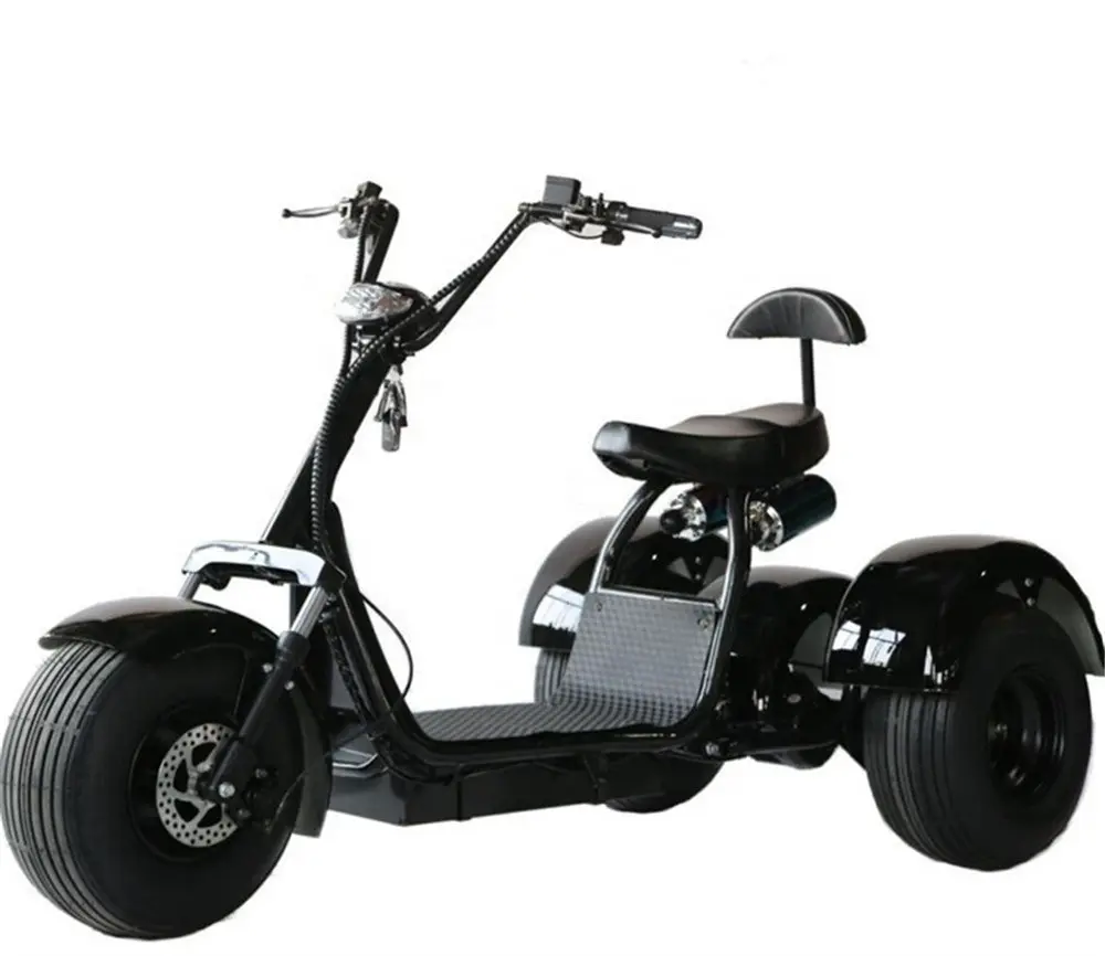 Toptan ticaret 60v Elderly 12ha lityum pil 2000w elektrik Trike kargo üç tekerlekli bisiklet yaşlı ve engelli için EEC elektrikli üç tekerlekli bisiklet