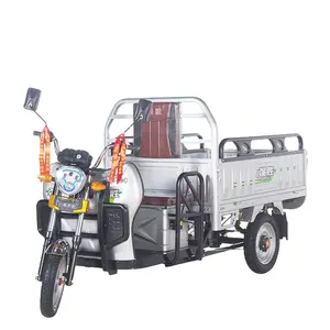 2023 elektrikli kargo üç tekerlekli bisiklet taşımak için hindistan'da popüler tasarım e sepeti e yükleyici üç tekerlekler carry daha fazla 1 tondan