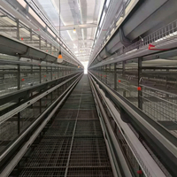 Nouveau système de cages en batterie pour poulets de chair en acier galvanisé à chaud de type H automatique