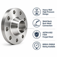 Bride aveugle en acier inoxydable 316L, conforme NACE MR0175, pour services pétrochimiques, norme ASME B16.5 CL300 RF, galvanisée à chaud