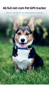 Traceur GPS 4G pour animaux domestiques, dispositif de suivi GPS, collier à puces, localisateur en temps réel de chiot et de <span class=keywords><strong>chat</strong></span>, d'entraînement étanche pour chiots, collier - Product Image 6