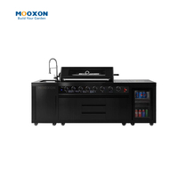 Système de barbecue de cuisine extérieure en acier inoxydable 304 avec grand grille de cuisson et conception de bac à huile