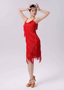 Robe de danse latine pour femmes, style années 1920, avec paillettes et franges, pour carnaval, tango, danse de salon, costume de danse pour adultes - Product Image 6