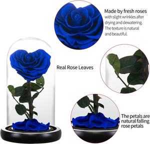 En gros pas cher énorme beauté <span class=keywords><strong>et</strong></span> <span class=keywords><strong>la</strong></span> bête boîte coeur violet éternel pour toujours stailized préservé <span class=keywords><strong>rose</strong></span> <span class=keywords><strong>dans</strong></span> un dôme de verre pour cadeau - Product Image 5