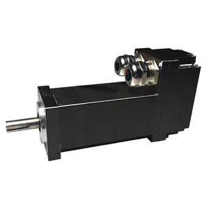 PMMP40 100w integrierter Niederspannungs-Servomotor DC-Treiber Servomotor Absolutwert geber CANopen-Kommunikation